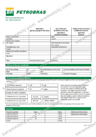 Paraguay Petrobras Paraguay Operations and Logistics gas company utility bill template in Word and PDF format
